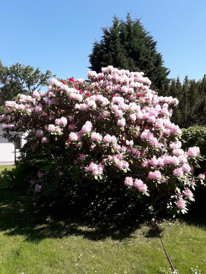 Ferienhaus Am Langen See III Heidesee Zewnętrze zdjęcie